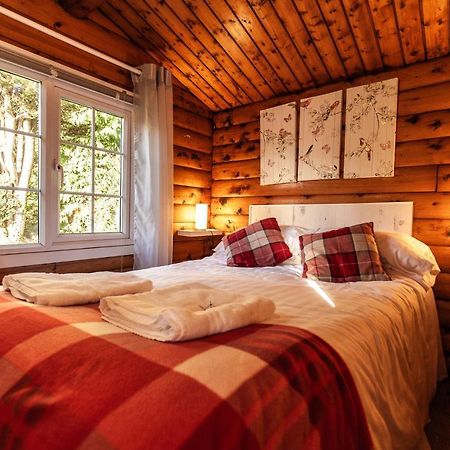 Welsh Retreat 2 Bedroom Log Cabin - Seren Property Trawsfynydd Luaran gambar