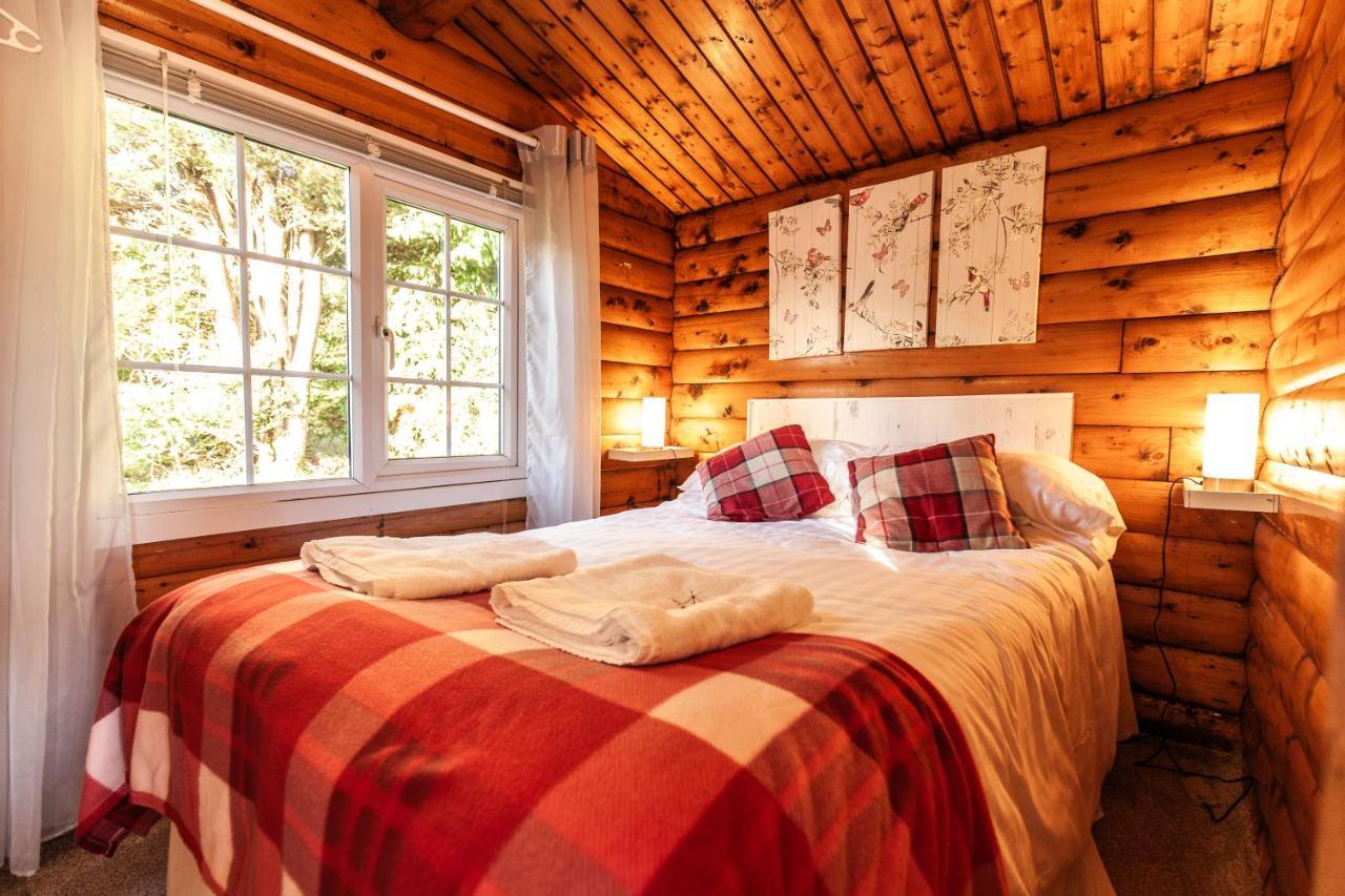 Welsh Retreat 2 Bedroom Log Cabin - Seren Property Trawsfynydd Luaran gambar