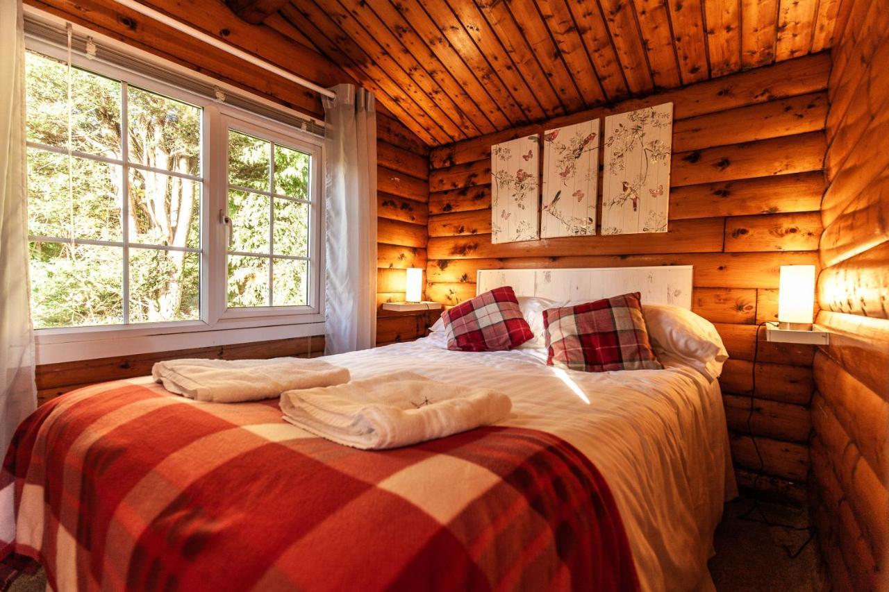 Welsh Retreat 2 Bedroom Log Cabin - Seren Property Trawsfynydd Luaran gambar