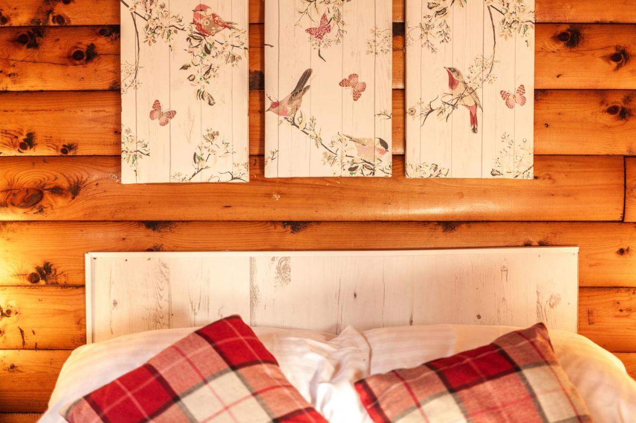 Welsh Retreat 2 Bedroom Log Cabin - Seren Property Trawsfynydd Luaran gambar