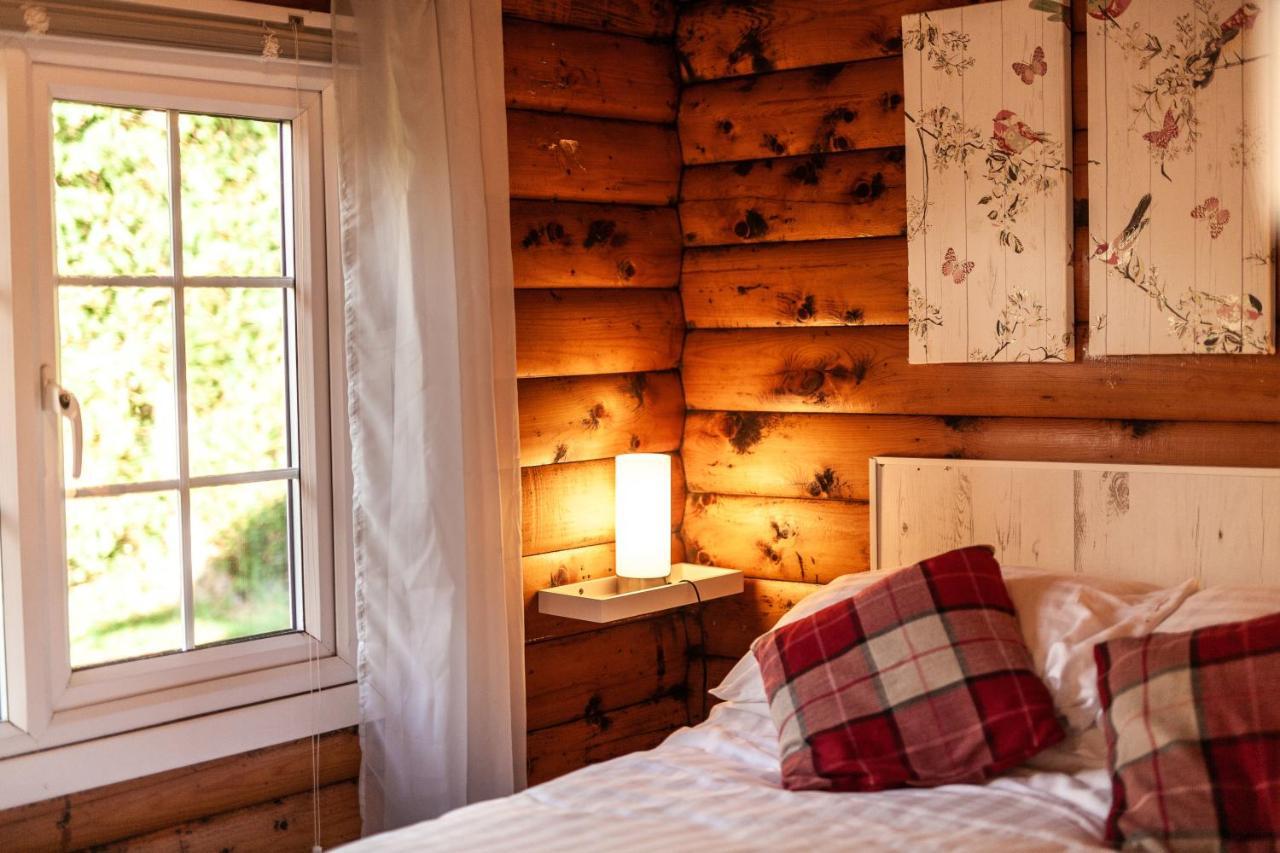 Welsh Retreat 2 Bedroom Log Cabin - Seren Property Trawsfynydd Luaran gambar